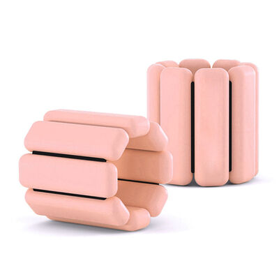 Custom Home Fitness Intelligent Dumbbell For Women 1300G/Pair