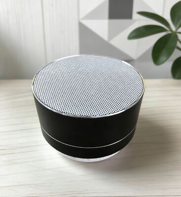 Professional Wireless Portable Bluetooth Wireless Speaker DC5V 1A With FM Radio