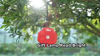 Gift lamp, reading lamp